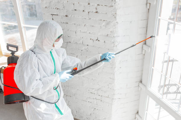 Best Industrial Mold Remediation  in Gonzales, TX